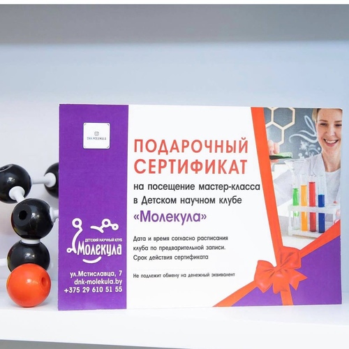 Детский научный клуб молекула